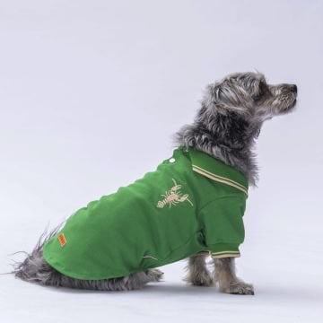 PawStar Yeşil Marine Polo Yaka T-Shirt