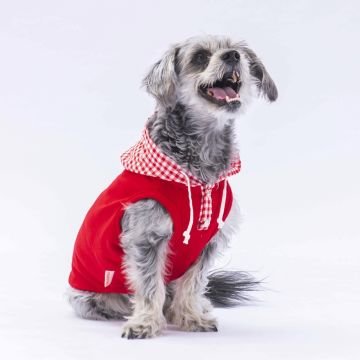 PawStar Kırmızı Gingham Kapşonlu Polo T-Shirt