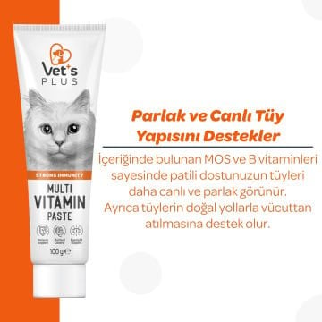 Vet's Plus Sağlıklı Kediler için Taurinli Multi-Vitamin Kedi Macunu 100gr