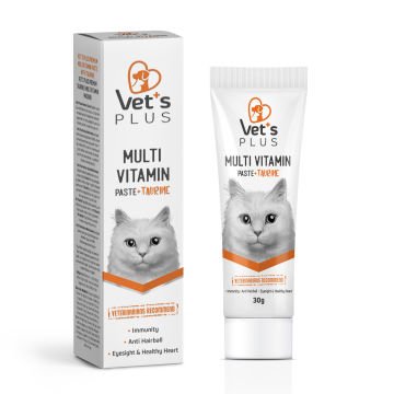Vet's Plus Sağlıklı Kediler için Taurinli Multi-Vitamin Kedi Macunu 30gr