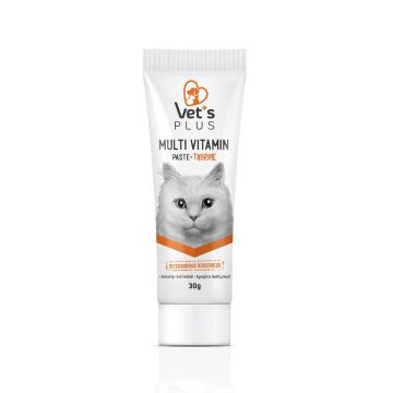 Vet's Plus Sağlıklı Kediler için Taurinli Multi-Vitamin Kedi Macunu 30gr