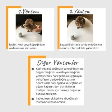 Vet's Plus Senior Yaşlı Kedi ve Köpekler için Multivitamin Tablet (100'lü)