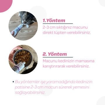 Vet's Plus Hamile ve Yavru Kediler için Folik Asitli Malt Kedi Macunu 100 Gr