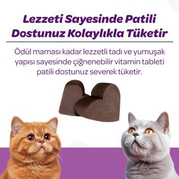 Vet's Plus Sterilised Kısırlaştırılmış Kediler İçin Yaban Mersinli Çiğnenebilir Tablet (60'lı)