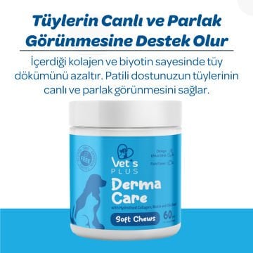 Vet's Plus Derma Care Kedi ve Köpekler İçin Deri ve Tüy Yapısı Desteği Çiğnenebilir Tablet (60'lı)