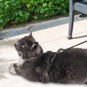 Siyah Beyaz Yıldız Desenli Ayarlanabilir Kedi Göğüs Tasma Seti 10 mm 110 cm