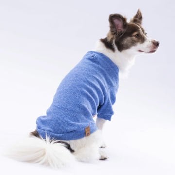 PawStar Mavi Merino Sweat Küçük ve Orta Irk