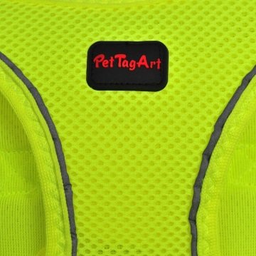 PetTagArt  Airmesh Neon Sarı Göğüs Tasması