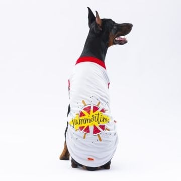 PawStar Gri Summer Büyük Irk T-Shirt