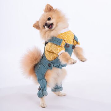 PawStar Mavi 2'li Denim Salopet Küçük ve Orta Irk Tulum