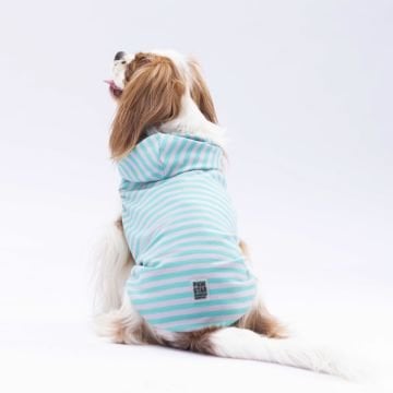 PawStar Aqua Sunny Kapşonlu T-Shirt