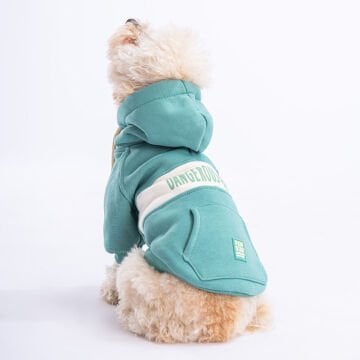 PawStar Yeşil Cute Hoodie Küçük ve Orta Irk