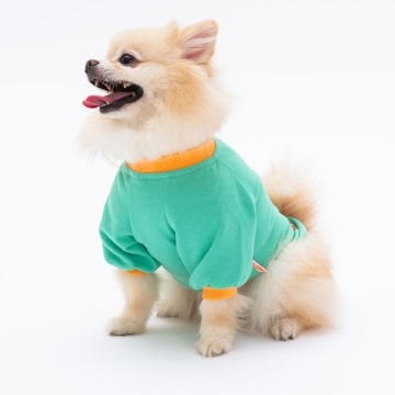 PawStar Mint Bone Hunter Sweat Küçük ve Orta Irk