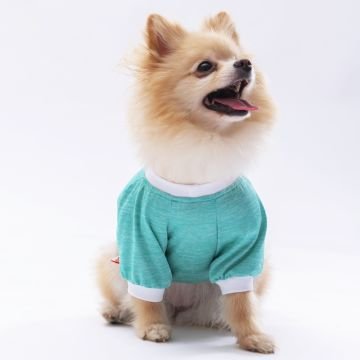 PawStar Mint Dude Küçük Irk Sweat