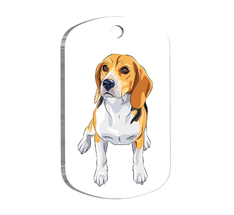 Beagle Breed Resimli Köpek Künyesi