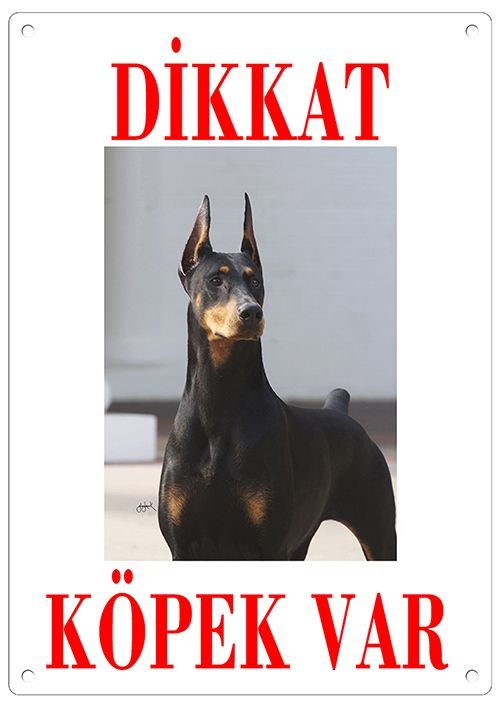 Dikkat Köpek Var Uyarı Levhası (Renkli Doberman)