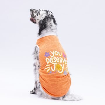 PawStar Turuncu Joy Büyük Irk T-Shirt