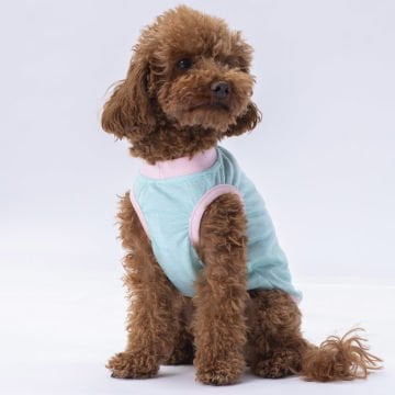 PawStar Mint Joy Büyük Irk T-Shirt