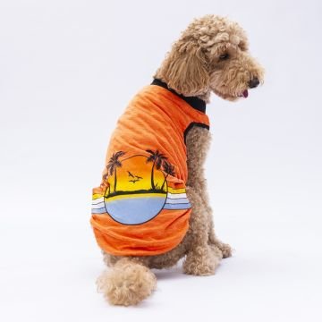 PawStar Turuncu Sunrise Büyük Irk T-Shirt