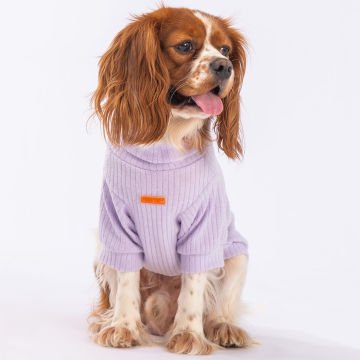 PawStar Lila Turtleneck Küçük ve Orta Irk Sweat