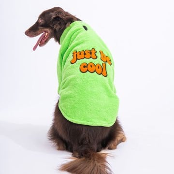 PawStar Yeşil Just Be Cool Büyük Irk Sweat