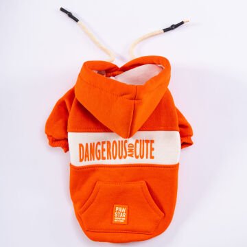 PawStar Turuncu Cute Hoodie Küçük ve Orta Irk