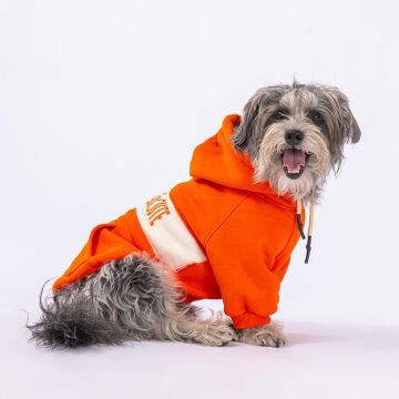 PawStar Turuncu Cute Hoodie Küçük ve Orta Irk