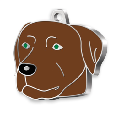 Chocolate Labrador Köpek Künyesi