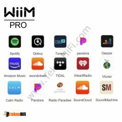 WIIM PRO Audio Streamer