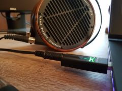 Audioquest DRAGONFLY Black USB DAC + Preamp + Kulaklık Amplifikatörü