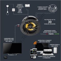 Lithe Audio 6610  Wi-Fi / Network / Airplay Çok Odalı Aktif Tavan Hoparlörü (Çift - Aktif/pasif)