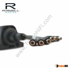 Roswell Marine C920-0300 Çift Bölgeli Ses Kontrol