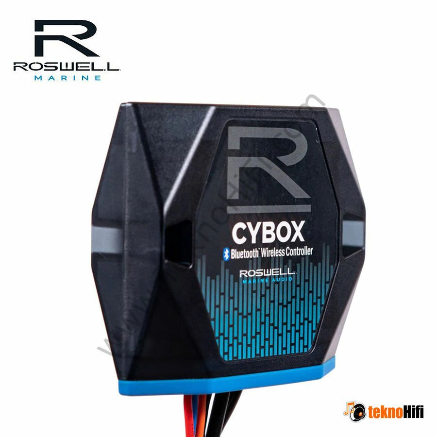 Roswell Marine C920-20130 Cybox 2.0 Bluetooth Alıcısı