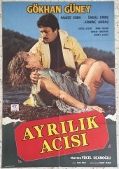 GÖKHAN GÜNEY - AYRILIK ACISI - FİLM AFİŞİ