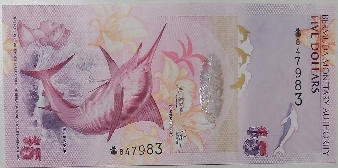 Bermuda 5 Dolar 2009 Çil