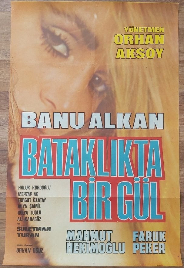 Banu Alkan - Bataklıkta Bir Gül - Film Afişi