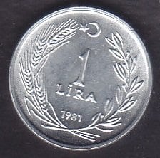 1981 Yılı 1 Lira Çil