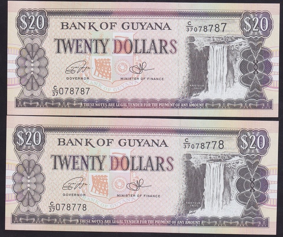 Guyana 20 Dolar 1996 Çil 2 Adet 8778 - 87 87