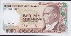 7.Emisyon 4.Tertip 5000 Lira G04 800666 Çil