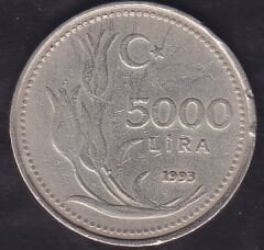 1993 Yılı 5000 Lira