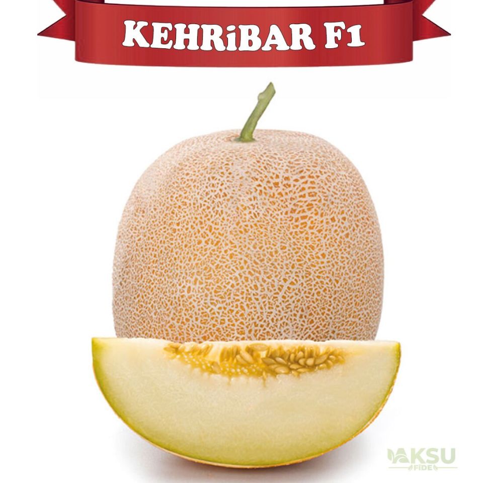 Kehribar F1 Ananas Tipi Kavun Fidesi