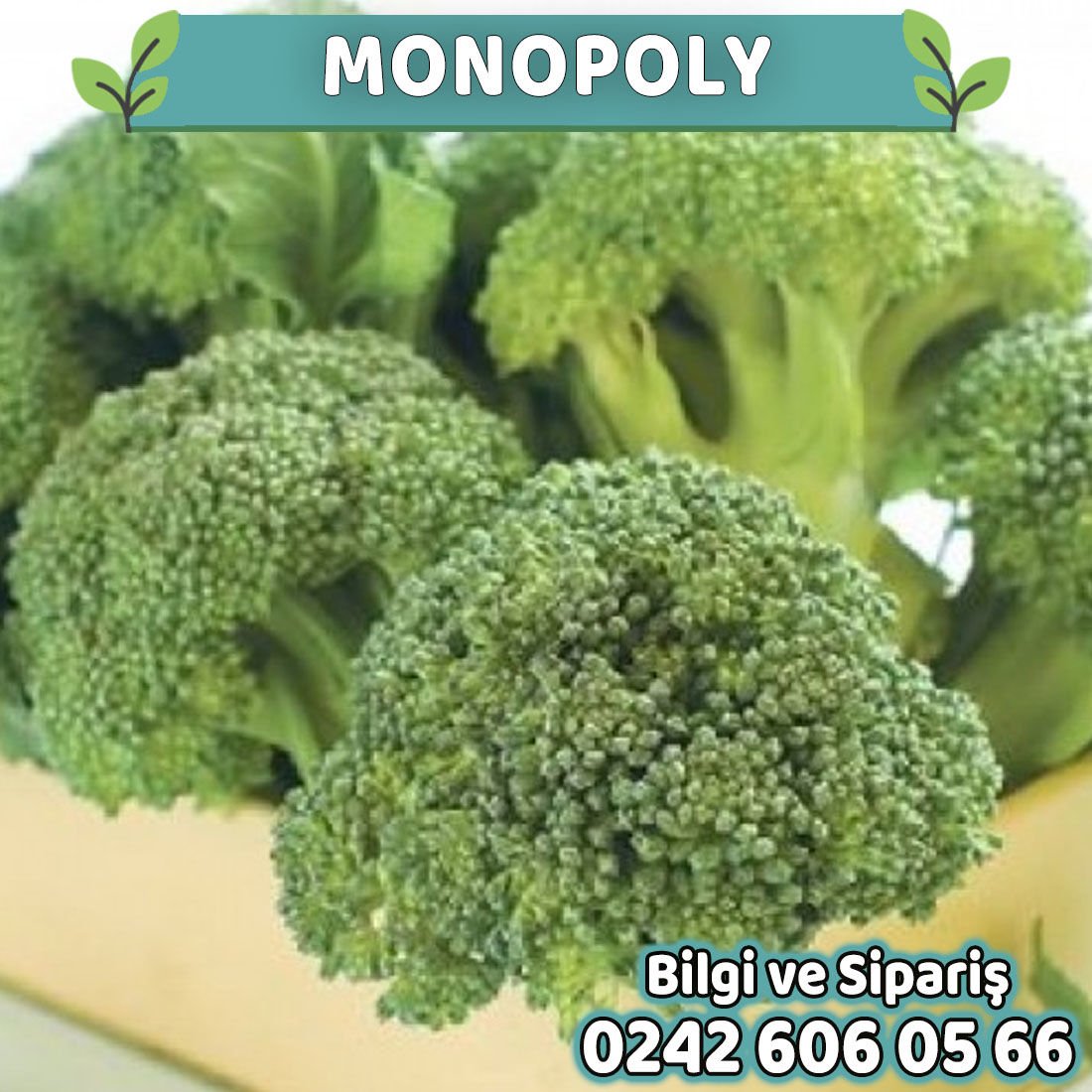 Monopoly 80 Günlük Brokoli Fidesi