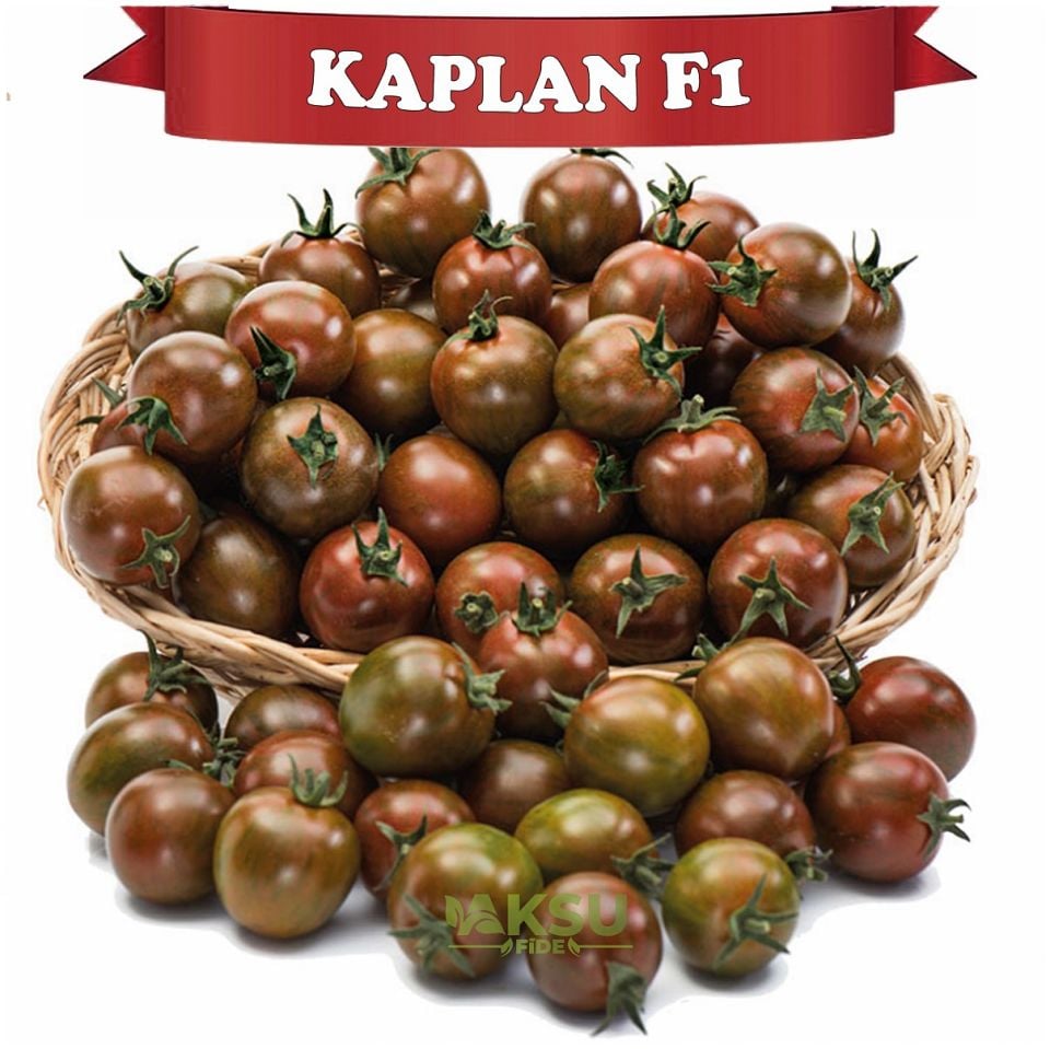 Kaplan F1 - Kahverengi Kokteyl Domates Fidesi