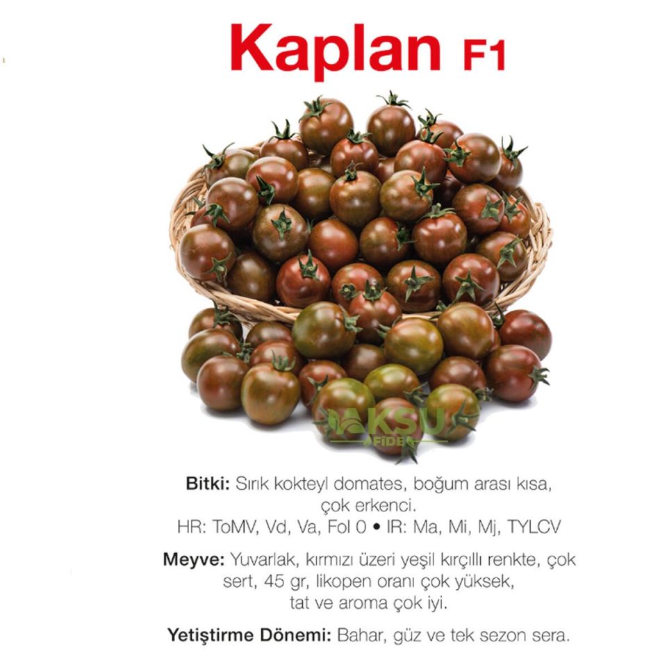 Kaplan F1 - Kahverengi Kokteyl Domates Tohumu