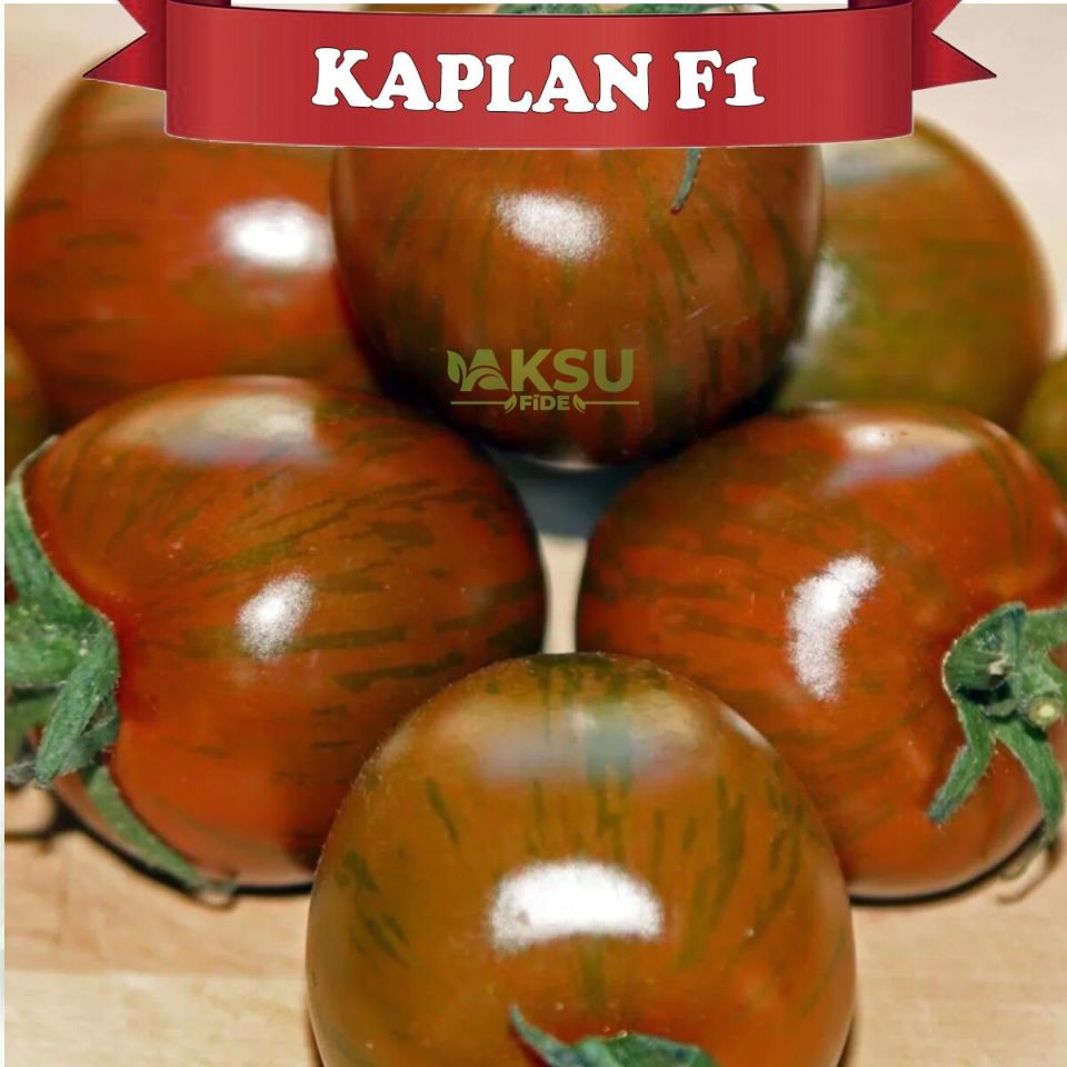 Kaplan F1 - Kahverengi Kokteyl Domates Tohumu