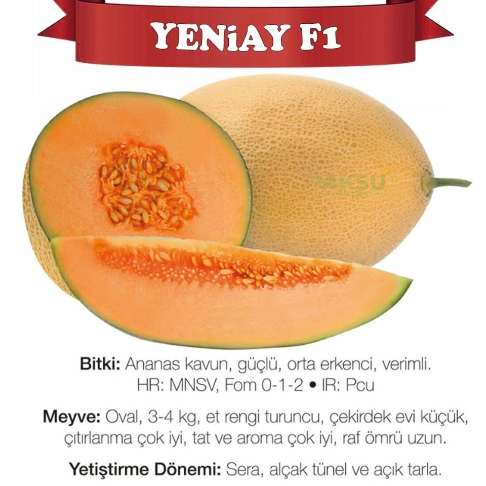 Yeniay F1 Ananas Tipi Kavun Tohumu