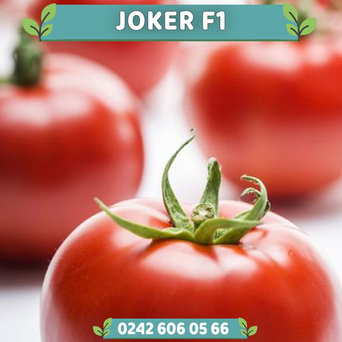 Joker F1 Oturak Domates Fidesi