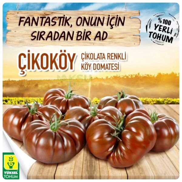 Çikoköy F1 Kahverengi Köy Domatesi Fidesi