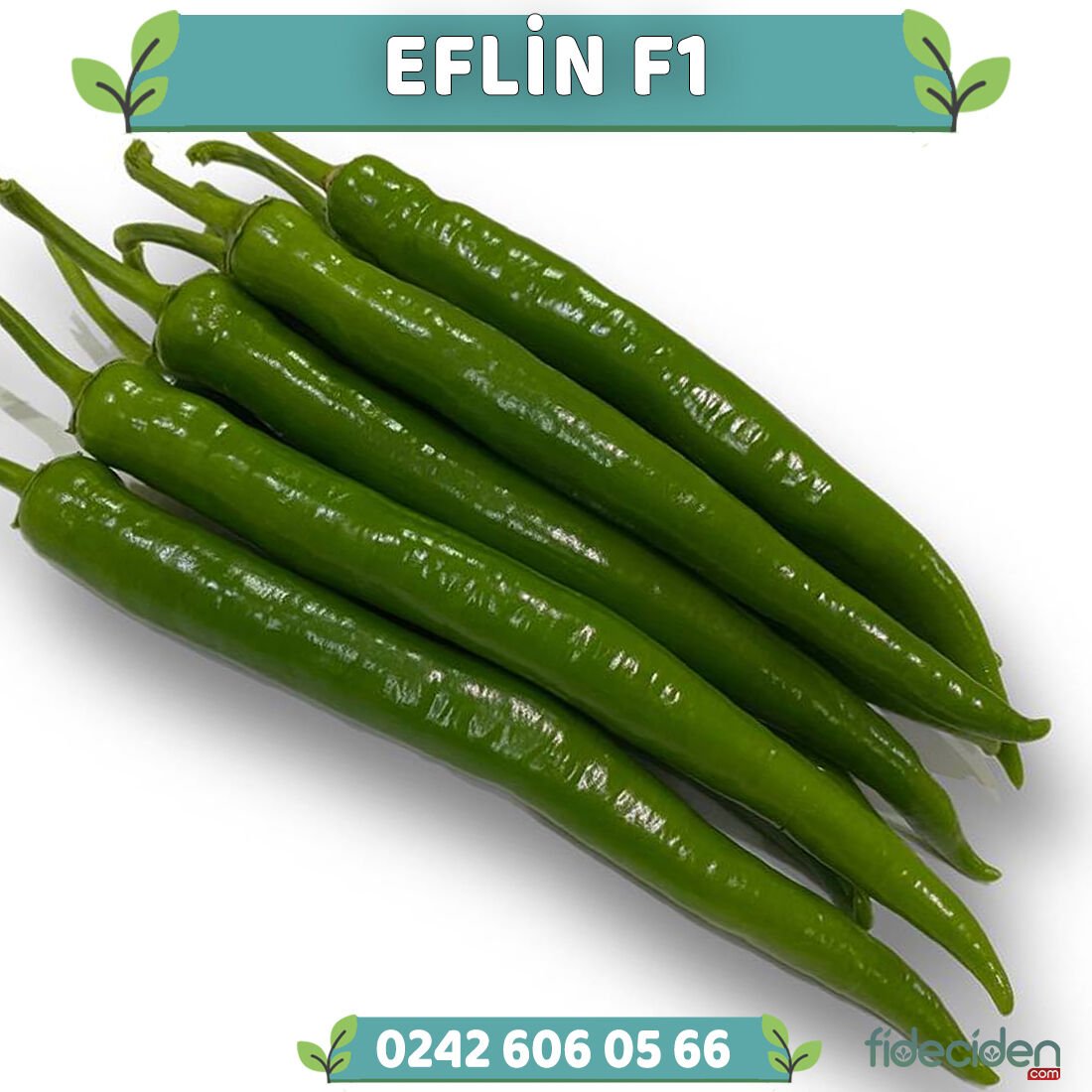 Eflin F1 Tatlı Sivri Biber Fidesi