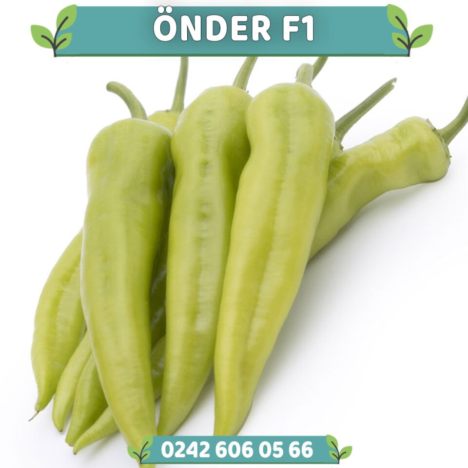 Önder F1 Çarliston Biber Fidesi
